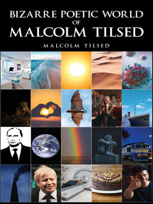 cover image of Bizarre Poetic World of Malcolm Tilsed